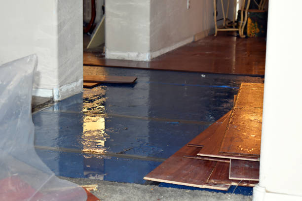 Professional Basement Flooding technician working in Abington, PA